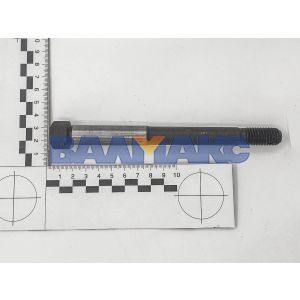 болт специальный d15